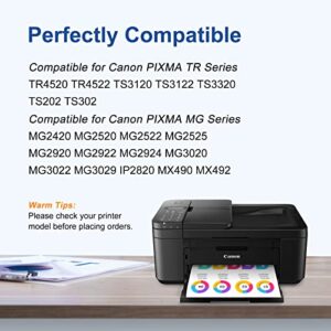 245XL 246XL Ink Cartridges Combo Pack Replacement for Canon PG-245XL CL-246XL for Printer Ink Canon 245 XL 246 XL for Pixma TR4520 MX492 MG2522 MG2500 MX490 TS3122 TS202 TS3322 Printer