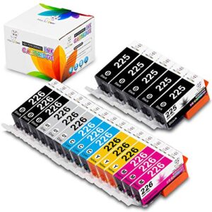 miss deer compatible pgi-225 cli-226 ink cartridges replacement for canon pgi225 cli226 for pixma ip4920 ix6520 mg5120 mg6120 mg8120 mx892 mg8120b mg5220 printer 20 combo pack (3 sets + 2 pgi-black)