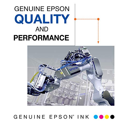 EPSON T252 DURABrite Ultra Ink Standard Capacity Black Dual Cartridge Pack (T252120-D2) for select Epson WorkForce Printers