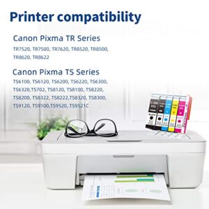 Relcolor Better-Ink Filled 280XXL 281XXL Ink Cartridge for Canon 280 281 XL Combo for Pixma TR8520 TR8620 TS6320 TR8600 TR7520 TS6120 TS9521C TS702 Printer 5 Pack (PGI-280XL PGBK CLI-281XL Black CMY)