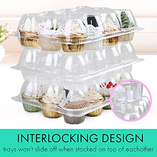 LotFancy Dozen Cupcake Containers, Pack of 12 Plastic Cupcake Boxes Bulk, 12 Compartment Holder with Detachable Lid, Disposable Muffin Carrier, Standard Size