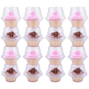 himetsuya cupcake boxes individual cupcake containers, 50 packs regular single cupcake holder high topping for muffins, thicker stackable plastic cupcake carrier for party (50 pack)