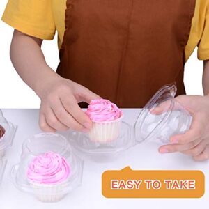 HIMETSUYA Cupcake Boxes Individual Cupcake Containers, 50 Packs Regular Single Cupcake Holder High Topping for Muffins, Thicker Stackable Plastic Cupcake Carrier for Party (50 pack)