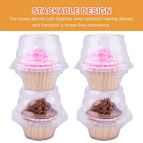 HIMETSUYA Cupcake Boxes Individual Cupcake Containers, 50 Packs Regular Single Cupcake Holder High Topping for Muffins, Thicker Stackable Plastic Cupcake Carrier for Party (50 pack)