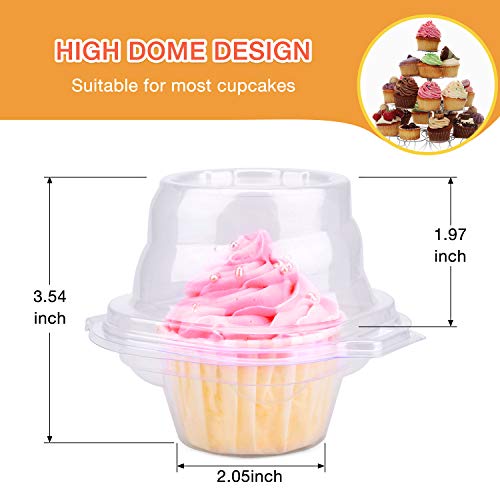 HIMETSUYA Cupcake Boxes Individual Cupcake Containers, 50 Packs Regular Single Cupcake Holder High Topping for Muffins, Thicker Stackable Plastic Cupcake Carrier for Party (50 pack)