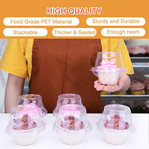 HIMETSUYA Cupcake Boxes Individual Cupcake Containers, 50 Packs Regular Single Cupcake Holder High Topping for Muffins, Thicker Stackable Plastic Cupcake Carrier for Party (50 pack)