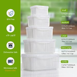 LUXEAR Fruit Vegetable Produce Storage Saver Containers with Lid & Colander 5 Packs BPA-Free Plastic Fresh Keeper Set | Refrigerator Fridge Organizer | for Salad Berry Lettuce Food Meat Fish Celery