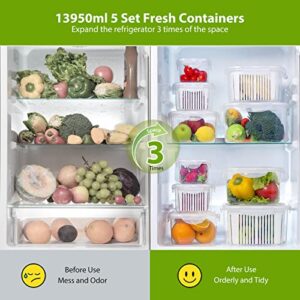 LUXEAR Fruit Vegetable Produce Storage Saver Containers with Lid & Colander 5 Packs BPA-Free Plastic Fresh Keeper Set | Refrigerator Fridge Organizer | for Salad Berry Lettuce Food Meat Fish Celery