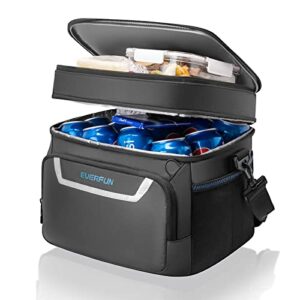 everfun insulated cooler bag dual compartments soft lunch bag for men lunch box 24 can collapsible waterproof leak-proof lunch coolers for work office