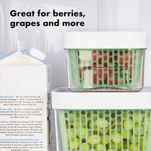 OXO Good Grips GreenSaver Produce Keeper -1.6 Qt