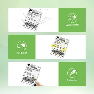NELKO 4" x 2" 5/16 Direct Thermal Labels, Perforated Shipping Labels, Compatible with NELKO, MUNBYN, Rollo, JADENS, ASprink & iDPRT Printers, BPA & BPS Free, 300 Labels/Roll