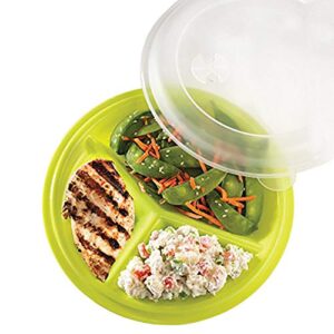 portion control lunch travel plate (assorted colors) (set of 1)