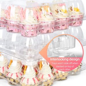 LotFancy Mini Cupcake Containers, 12 Count, 40 Pack, Dozen Clear Plastic Cupcake Holder with Detachable Lid, High Dome, BPA Free