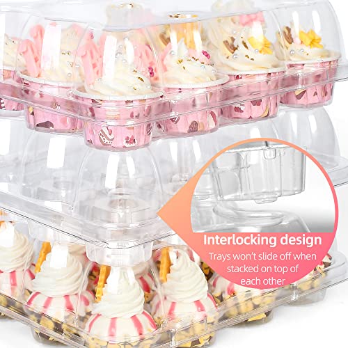 LotFancy Mini Cupcake Containers, 12 Count, 40 Pack, Dozen Clear Plastic Cupcake Holder with Detachable Lid, High Dome, BPA Free