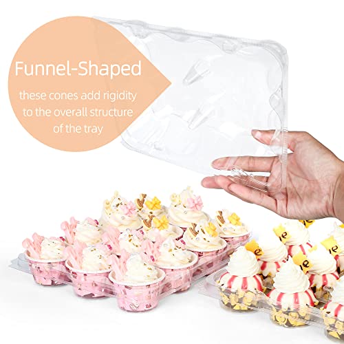 LotFancy Mini Cupcake Containers, 12 Count, 40 Pack, Dozen Clear Plastic Cupcake Holder with Detachable Lid, High Dome, BPA Free