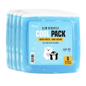 ice pack for lunch box – 5 ice packs – original slim & long-lasting freezer packs for your lunch or cooler bag