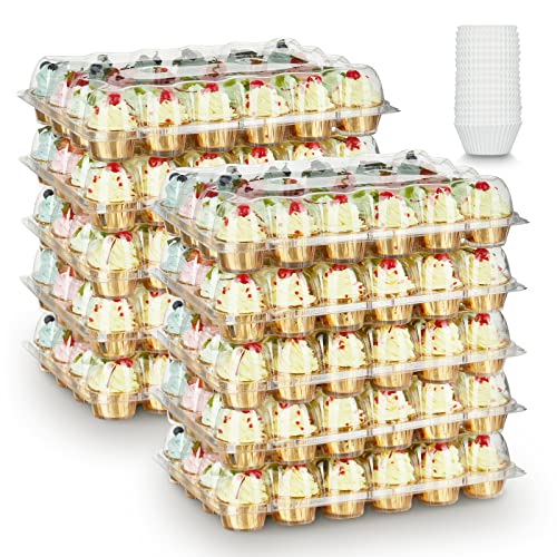 (24 Pack x 10 Sets) Gencywe Stackable Cupcake Carrier Holders with 240 Pack Cupcake Liners, Plastic Cupcake Boxes Holders for 24 Cupcakes, High Tall Dome Lid Cupcake Containers, Clear Disposable Cupcake Trays