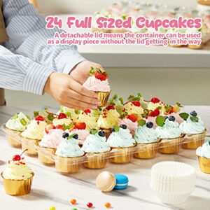 (24 Pack x 10 Sets) Gencywe Stackable Cupcake Carrier Holders with 240 Pack Cupcake Liners, Plastic Cupcake Boxes Holders for 24 Cupcakes, High Tall Dome Lid Cupcake Containers, Clear Disposable Cupcake Trays