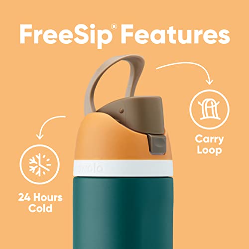 Owala FreeSip Insulated Stainless Steel Water Bottle with Straw for Sports and Travel, BPA-Free, 24-Ounce, Retro Boardwalk