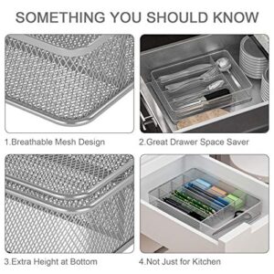 TQVAI Mesh Cutlery Tray 5 Compartments Kitchen Silverware Holder Utensil Flatware Organizer, Silver