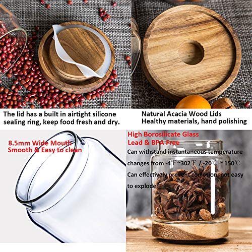 Keledz Glass Storage Jar with Wood Lids, Airtight Sealed Clear Borosilicate Glass Canister Kitchen Food Storage Containers for Coffee Beans Loose Tea Nuts Sugar Candy Spice, 450ml 16 oz (450ml 16 oz)