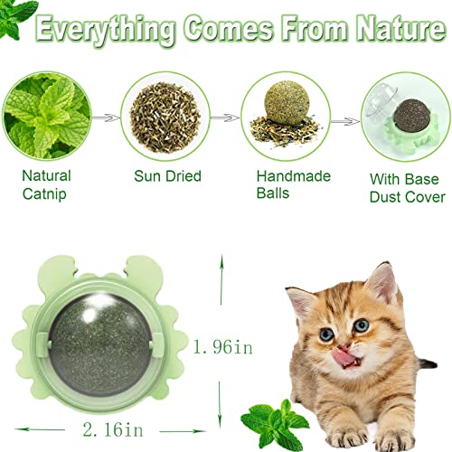 SUGVUHO 3 Pack Catnip Ball Cat Toy Cat Nips Organic Ball Catnip Wall Balls for Cats Cat Licking Ball Cat Teeth Cleaning Toy Cat Mint Silvervine Cat Toy Catnip and Silvervine for Cats