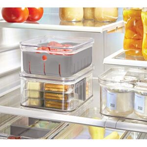 iDesign Recycled Plastic Crisp Produce Storage Containers with Lid and Colander Basket Designed to Keep Food Fresh Longer, 8.32” x 6.32” x 3.76”, Clear/Gray