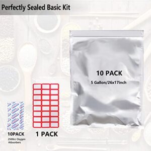 10 PCS 5 Gallon Mylar Bags For Food Storage, Mylar Bags With Oxygen Absorbers - 2500CC×10 PCS (10x PCS of 1), Large Aluminum Mylar Bags - 26"x17"