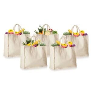 HOMELY CONNECT 5 Pack Canvas Grocery Shopping Bags, Reusable Grocery Bags Heavy Duty, Reusable Shopping Bags for Groceries, Canvas Grocery Bags, Washable, Foldable, 16.5 x 13 x 7 inches