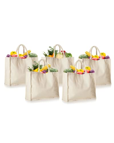 HOMELY CONNECT 5 Pack Canvas Grocery Shopping Bags, Reusable Grocery Bags Heavy Duty, Reusable Shopping Bags for Groceries, Canvas Grocery Bags, Washable, Foldable, 16.5 x 13 x 7 inches