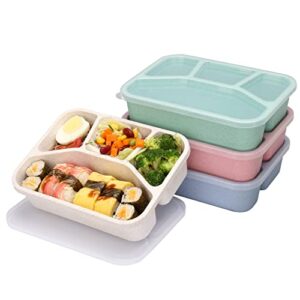 ylebs 4 pack bento lunch box reusable 4 compartment lunch containers for adults,bpa free plastic divided food meal prep containers,schools,work and travel