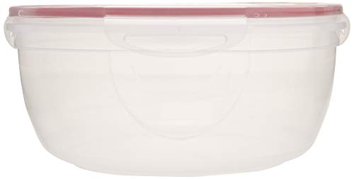 STERILITE Bowl, 1 Count, Clear