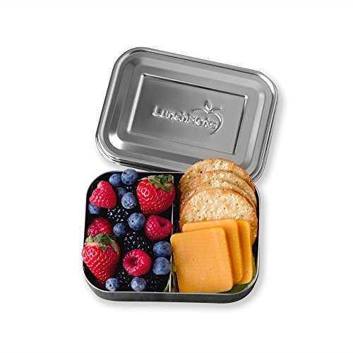 LunchBots Small Snack Packer Toddler Bento Box - Extra Small Divided Stainless Steel Snack Container - 2 Compartments for Fruits, Vegetables and Finger Foods - Dishwasher Safe – Stainless Lid