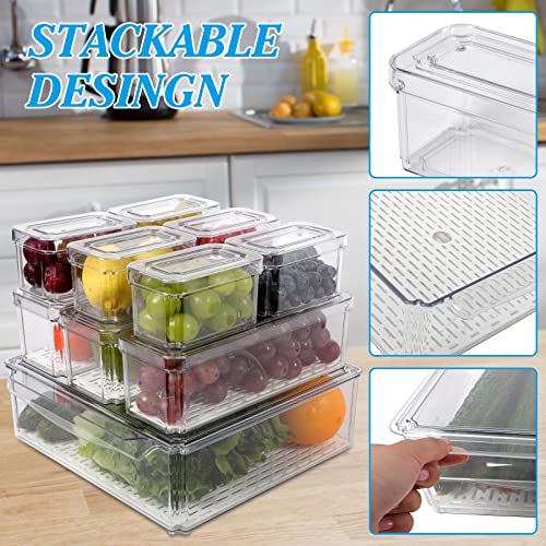 MorTime 10 Pack Refrigerator Organizer Bins with Lids, 3 Sizes Stackable Food Storage Containers Clear Plastic Organizers for Food Fruit Drinks Snacks in Kitchen Fridge Freezers