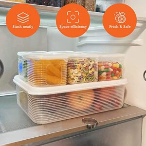 TeTeBak Food Storage Containers with Lids Airtight - 6PCS Removable Individual BPA-Free Plastic Food Containers for Pantry Organization and Storage, Stackable Meal Prep Containers Reusable (6PCS-128OZ-Meal-Prep)