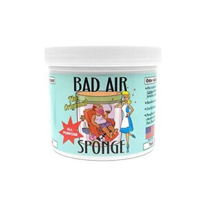 bad air sponge 2lb. container (3002n)