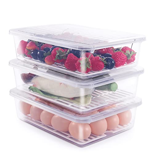 77L Food Storage Container, (3-Pack) Plastic Food Containers with Removable Drain Plate and Lid, Stackable Portable Freezer Storage Containers - Tray to Keep Fruits, Vegetables, Meat and More (Large)