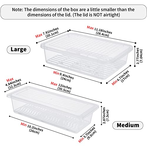 77L Food Storage Container, (3-Pack) Plastic Food Containers with Removable Drain Plate and Lid, Stackable Portable Freezer Storage Containers - Tray to Keep Fruits, Vegetables, Meat and More (Large)