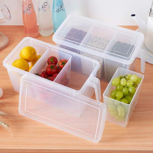 MineSign Plastic Storage Containers Square Handle Food Storage Organizer Boxes with Lids for Refrigerator Fridge Cabinet Desk (Set of 2 Organizers with Lid and 6 Removable Bins)