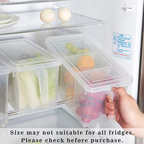 MineSign Plastic Storage Containers Square Handle Food Storage Organizer Boxes with Lids for Refrigerator Fridge Cabinet Desk (Set of 2 Organizers with Lid and 6 Removable Bins)