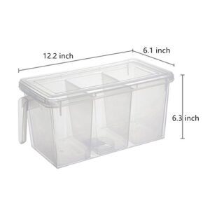 MineSign Plastic Storage Containers Square Handle Food Storage Organizer Boxes with Lids for Refrigerator Fridge Cabinet Desk (Set of 2 Organizers with Lid and 6 Removable Bins)