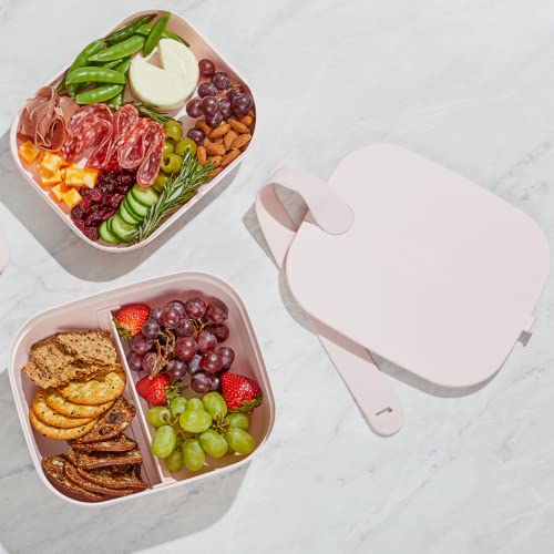 W&P Porter Lunch Box, 3 Compartment Bento Box Style Portable Adult Lunch Box with Snap Strap- Food Container, BPA Free, Dishwasher and Microwave Safe, Blush, Medium