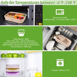 Jeopace Bento Box for Adults Lunch Containers for Kids 3 Compartment Lunch Box Food Containers Leak Proof Microwave Safe(Flatware Included, Transparent)