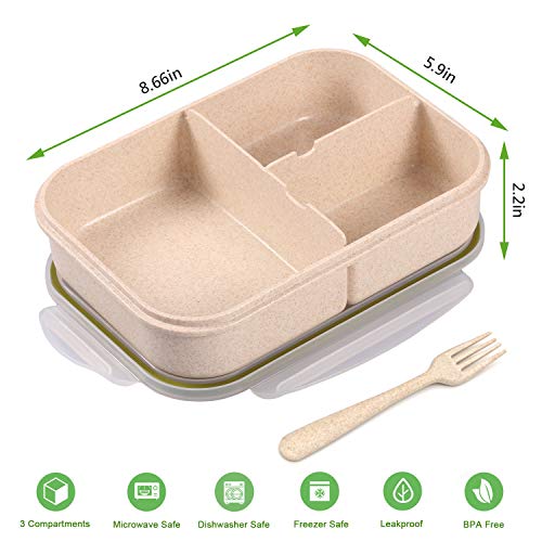 Jeopace Bento Box for Adults Lunch Containers for Kids 3 Compartment Lunch Box Food Containers Leak Proof Microwave Safe(Flatware Included, Transparent)