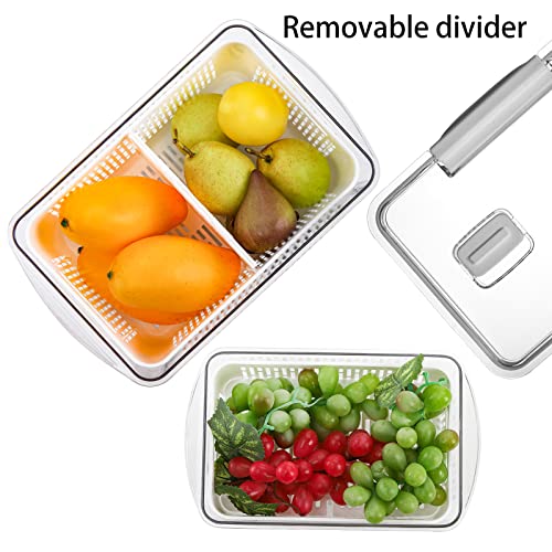 Cedilis 3 Pack Plastic Produce Saver Container, Vegetable Storage Containers for Refrigerator, Fruit Storage Organizer Bins with Divider, Fridge Container Box, White（Not Dishwasher Safe