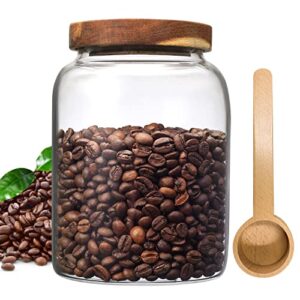 glass coffee storage jar with lids scoop thicken glass coffee canister borosilicate glass food containers for ground coffee beans nut pasta sugar candy spice rice loose tea