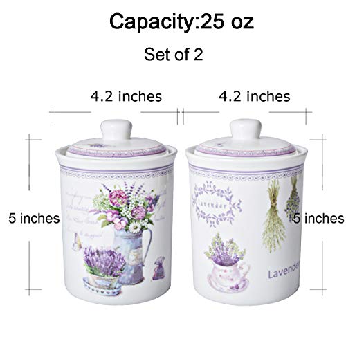 Xiteliy Ceramic Canister Set Tea Coffee Sugar Storage Pots Jars Kitchen Food Storage with Ceramic Lid Set of 2 (Purple, TL-XYC-J)