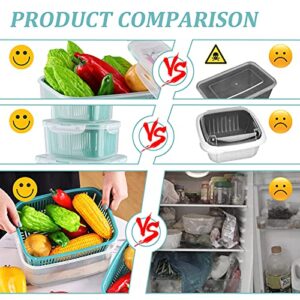 U/C Plastic Food Storage Containers, Fresh Vegetable Fruit Storage Containers for Refrigerator, Kitchen Produce Saver Container with a Draining Basket, BPA Free (5 Pack)