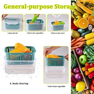 U/C Plastic Food Storage Containers, Fresh Vegetable Fruit Storage Containers for Refrigerator, Kitchen Produce Saver Container with a Draining Basket, BPA Free (5 Pack)