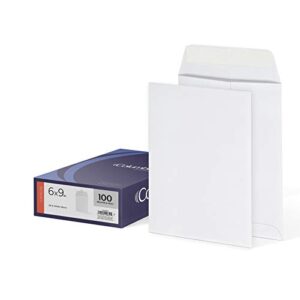 Columbian Catalog Envelopes, 6" x 9", Release & Seal Self-Sealing Closure, 28 lb White Wove, 100 per Box (COLO652)